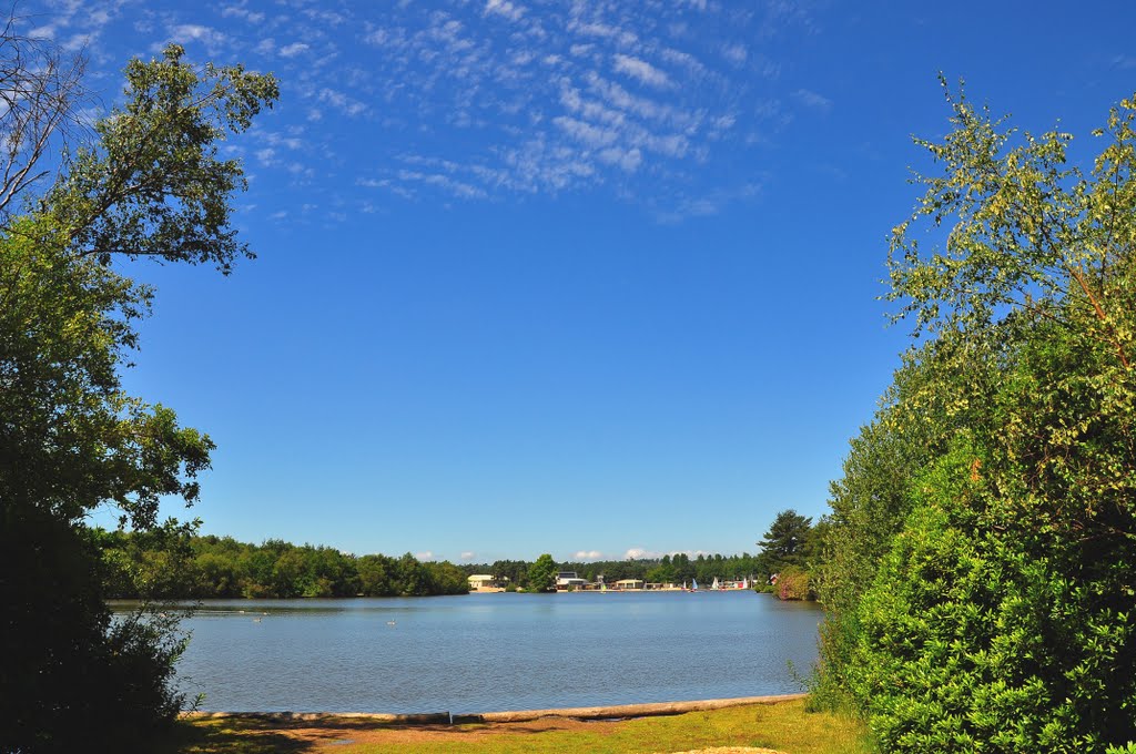 Hawley Lake, UK by DAVID ROBINS