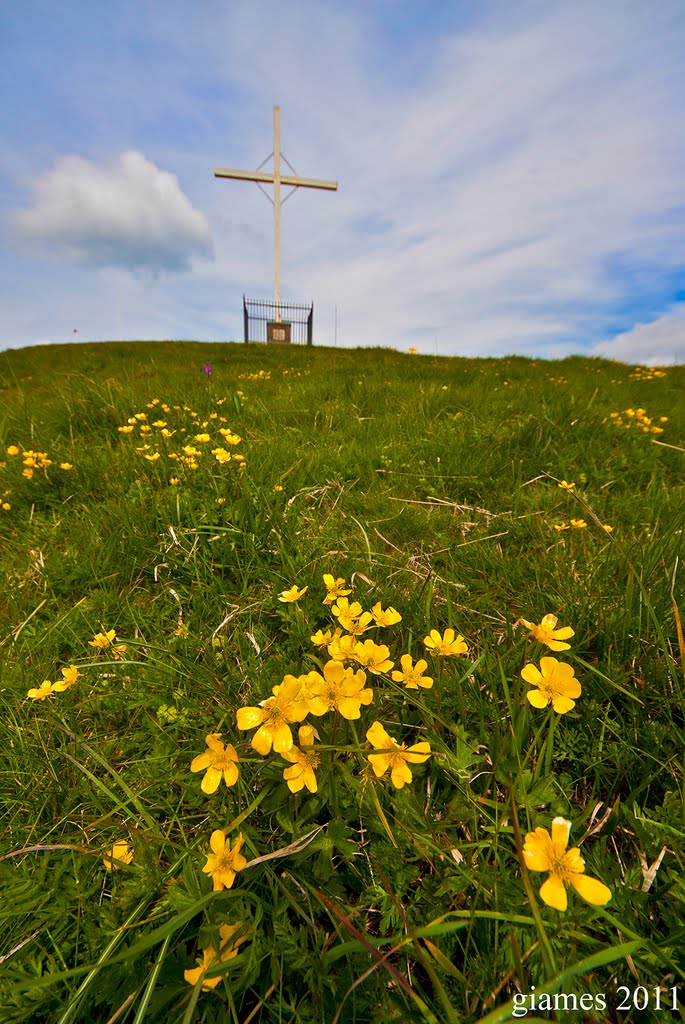 Antola, la Montagna dei Fiori (Maggio 2011) by GiamesPhoto (Giacomo A. Turco)