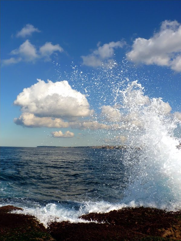 Waves & clouds by Saman Shafigh & Nesa Mouzehkesh