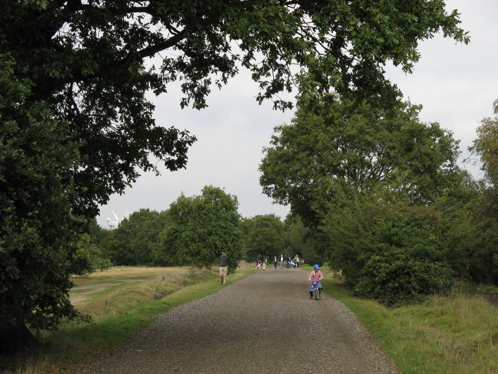 Wimbledon Common by Paul Hollinghurst