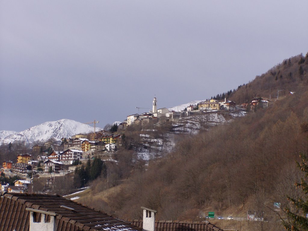 Vione visto da Temu by tonazzi