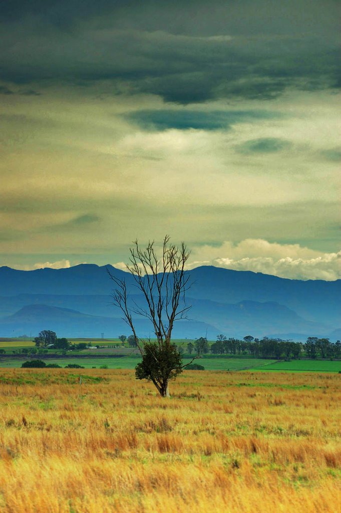 N3 Looking towards Lesotho by j. adamson