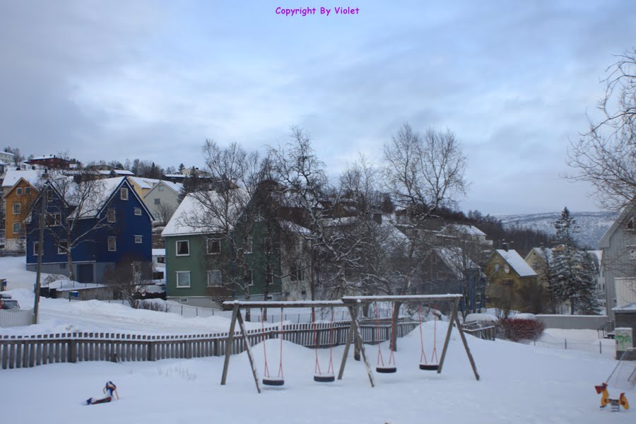 Narvik in the winter by Violet Cheung