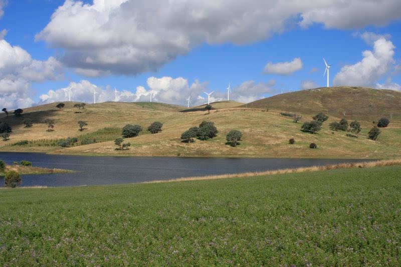 Wind Turbines by ozimage