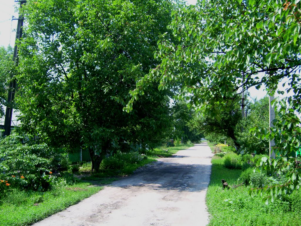 Sverdlov street by Lotero