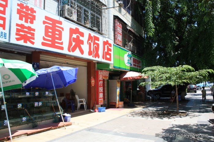 Yingbin Road, 迎宾路 by SanyaWeb.com