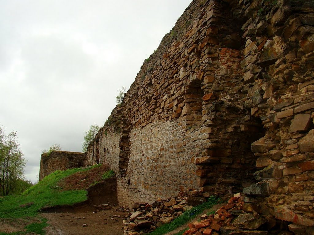 Микулинці - східна стіна замку, Mykulyntsi - walls of the castle by hranom