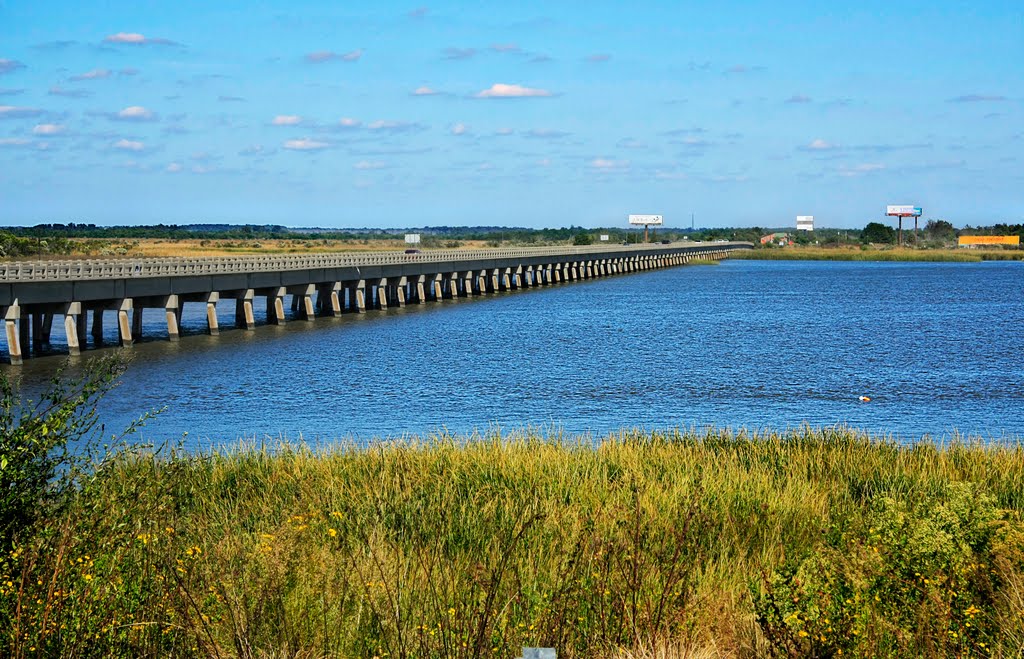 Bridge to South Carolina by dmrotstein