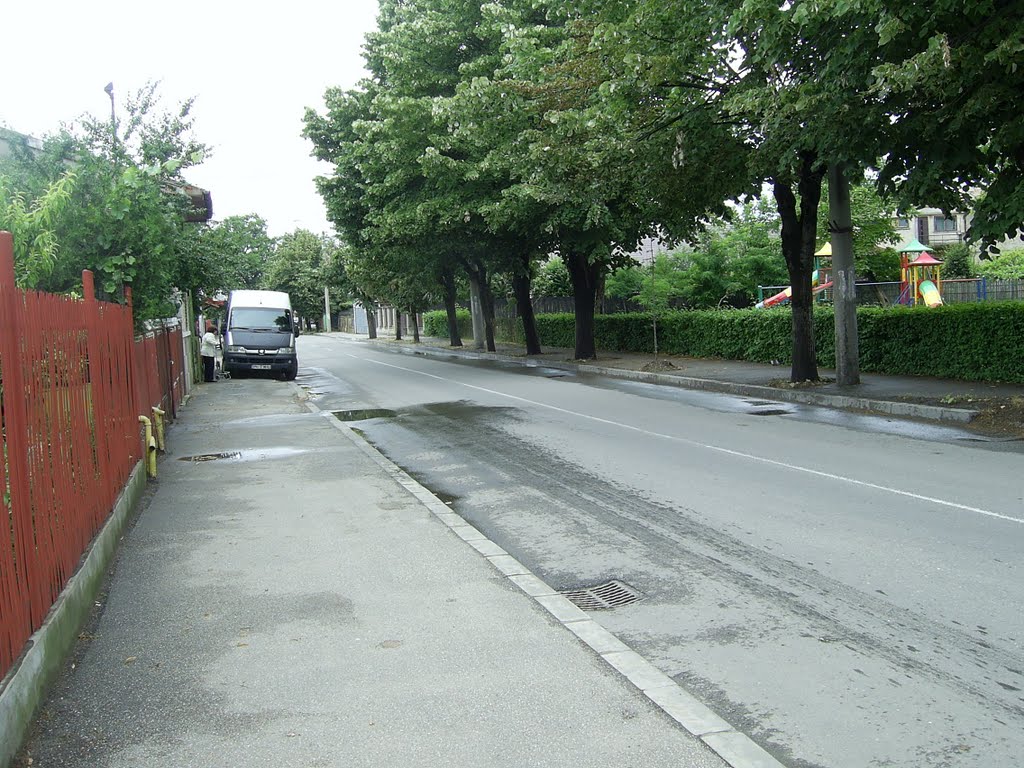 Str.T.Vladimirescu linga parc. by manolescu_ioan