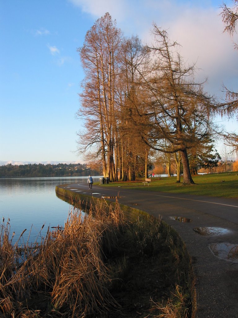 Green Lake Trail in October by Keithu