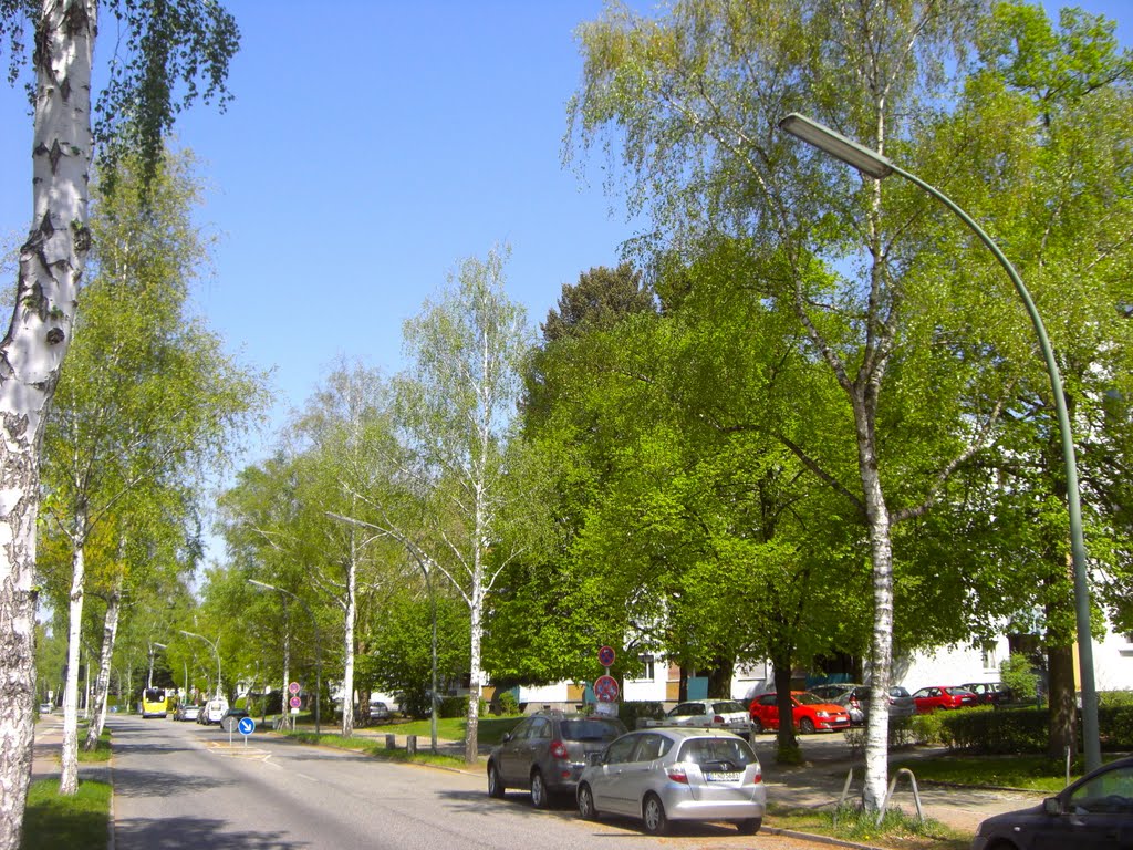 Sachtlebenstrasse - Berlin Zehlendorf by portmoresby