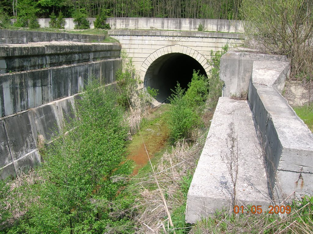 Plostina tunnel, Valcea - Valcele C.F.R. railway... by raduconstantin