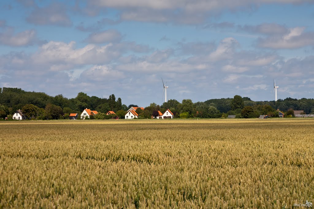 Kruiningergors by © BraCom (Bram)