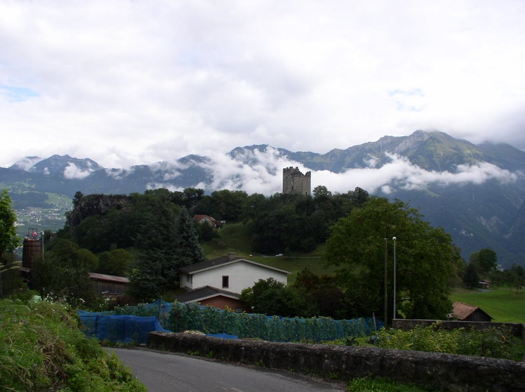 Nähe Gretschins SG, St.Martinshügel mit Burg Wartau by JustforFun