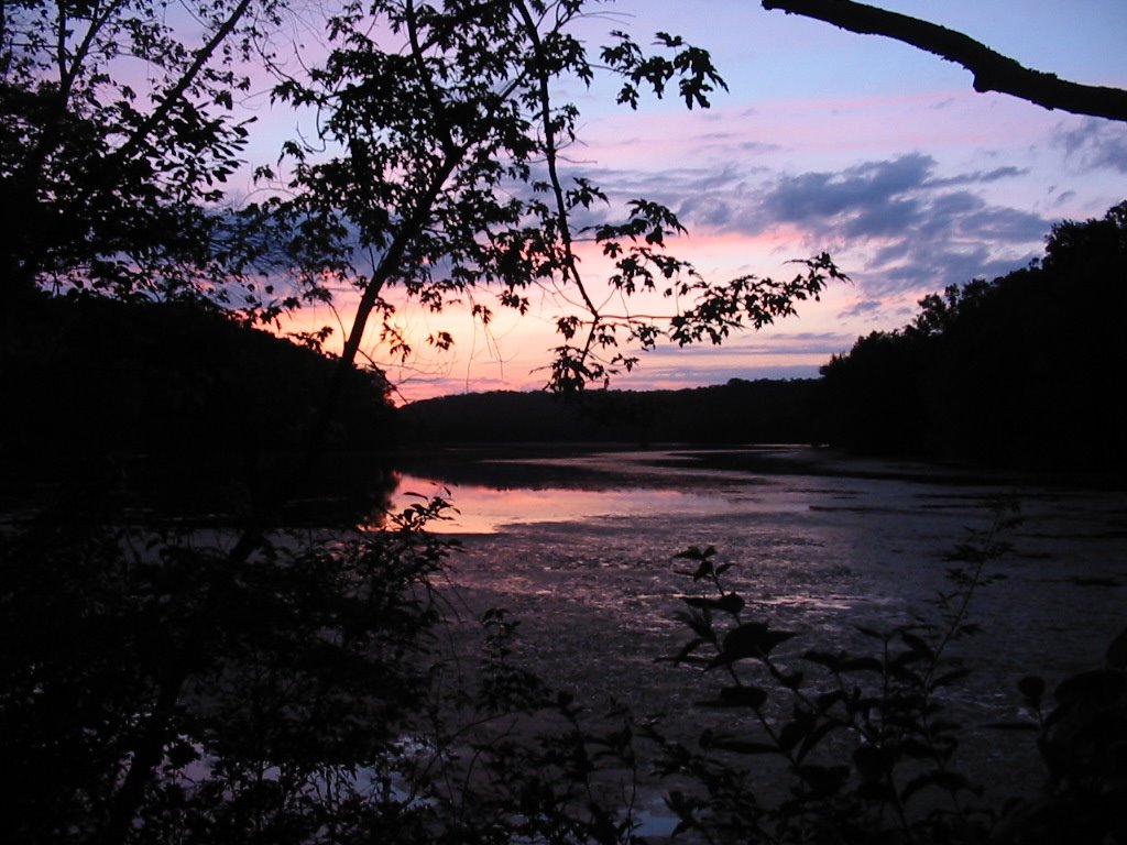 Radnor Lake by mal plant