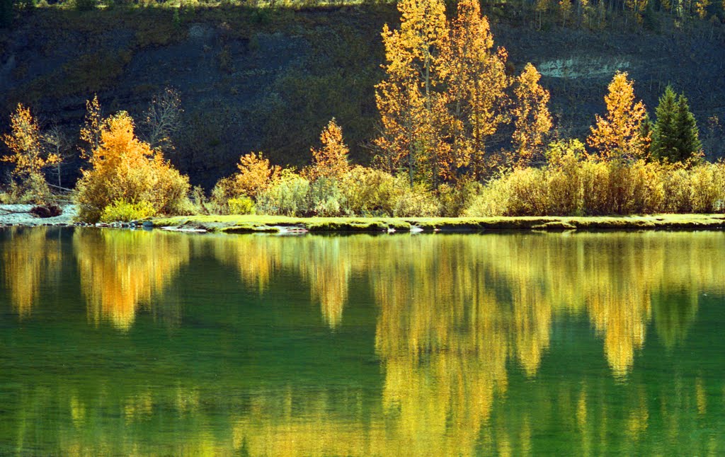 Reflections In The Pond by Rollie Haselden