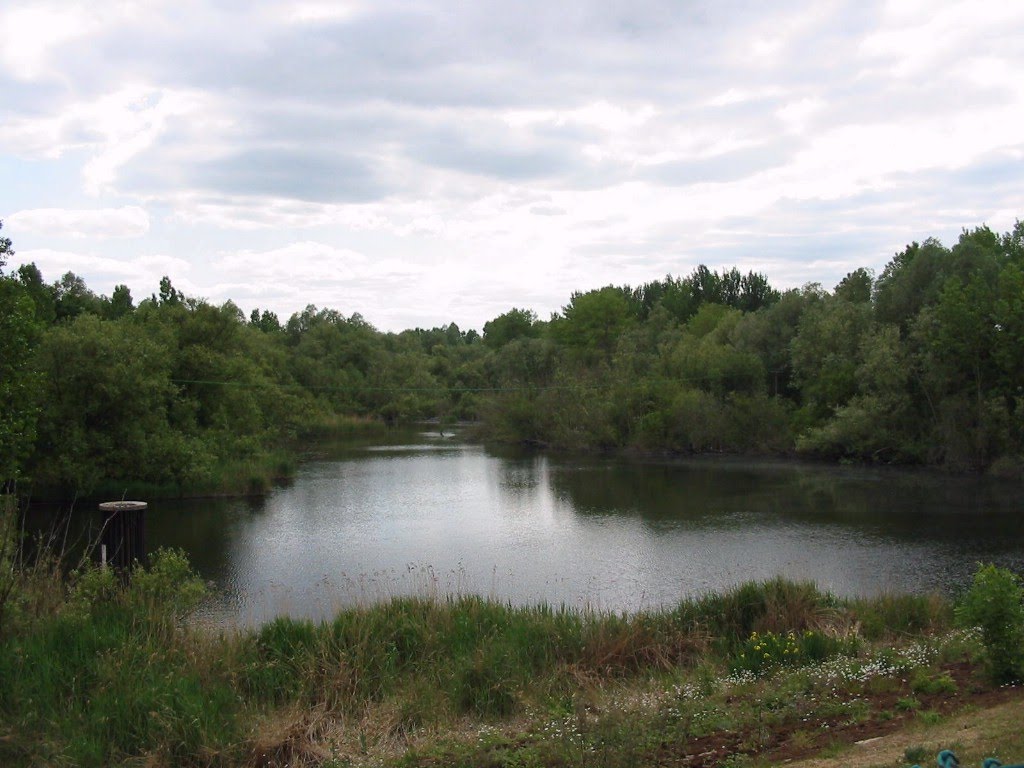 Lake South of Hanningfield Reservoir by Shimmerxxx