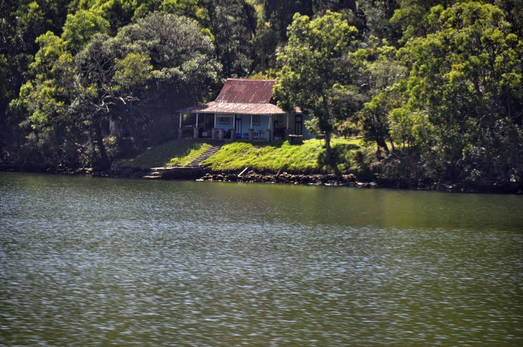 RAILWAYS SYDNEY TO NEWCASTLE - OYSTER PARK by m.claude