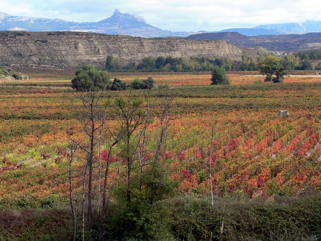 CENICERO (Alto Ebro). La Rioja. 2007. 02. Vista desde el mirador de Cenicero. by Carlos Sieiro del Nido