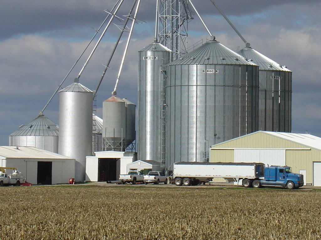 Buchanan's Grain Bins by paradive