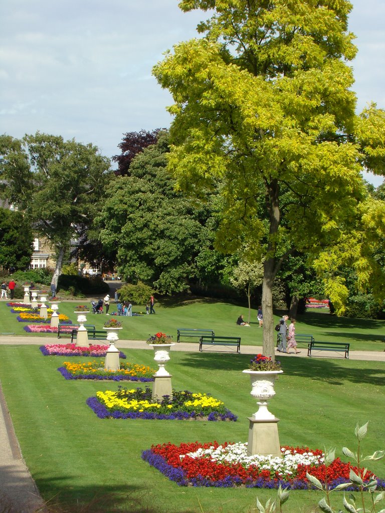 Formal Carpet Bedding, Sheffield Botanical Gardens, S11 by sixxsix