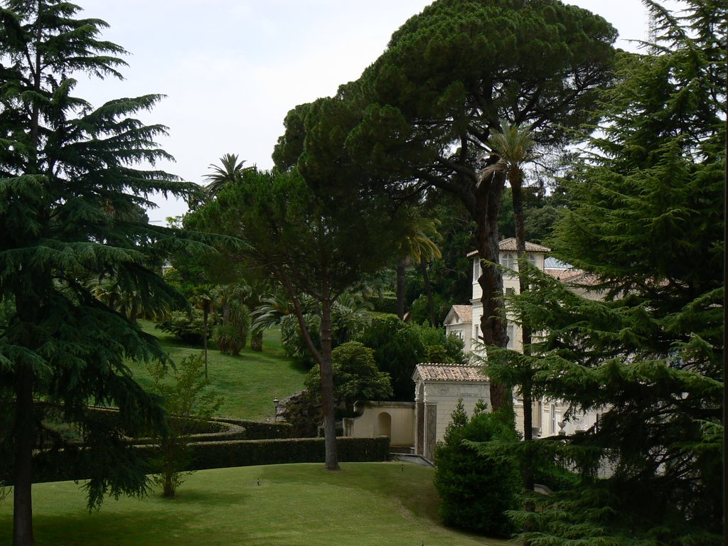 Jardin, Vaticano by luisde