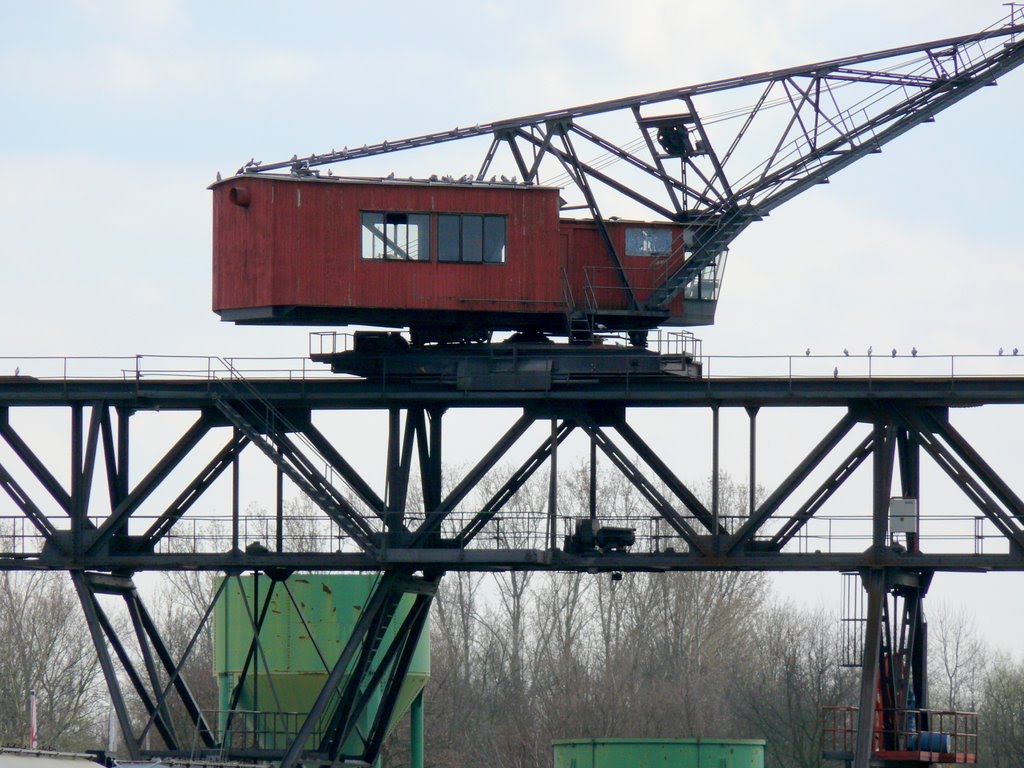 Gernsheim Hafen by fotoscimi