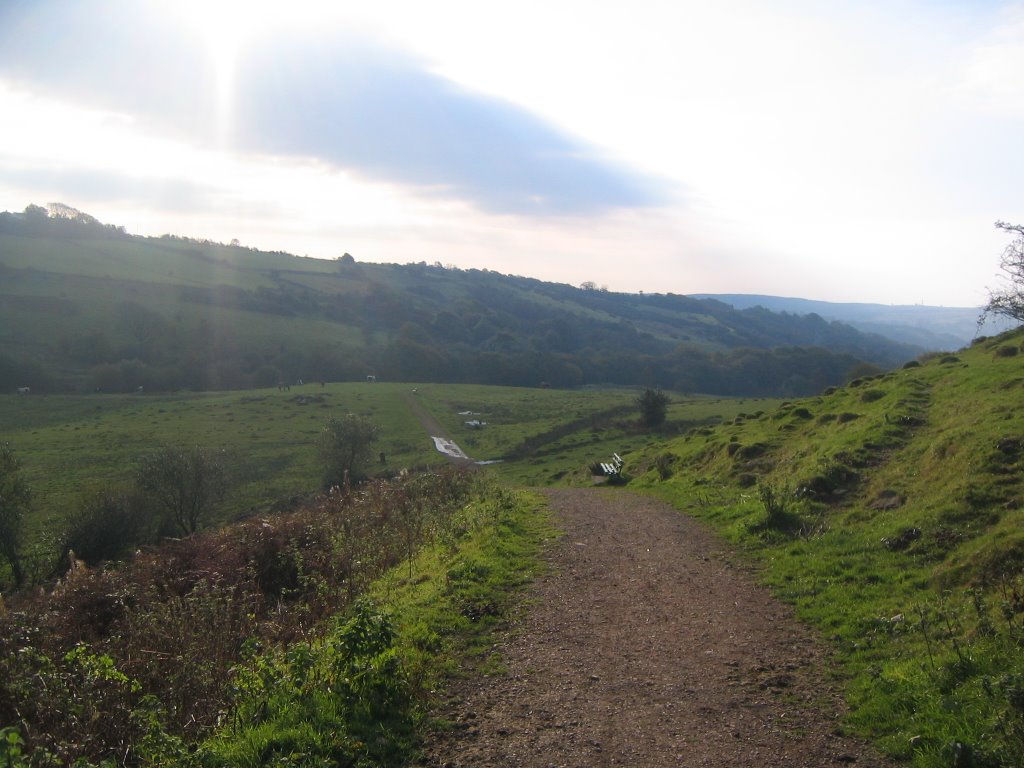 Start of Lover's lane,Edmondstown by Simon williams