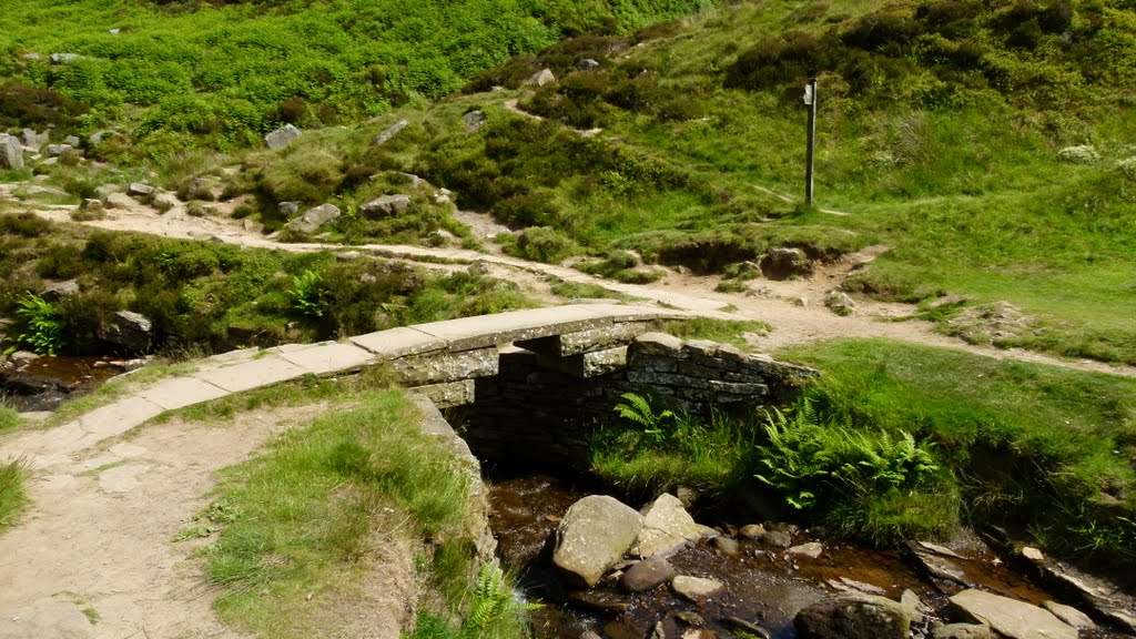 Bronte Bridge by TerryHD2