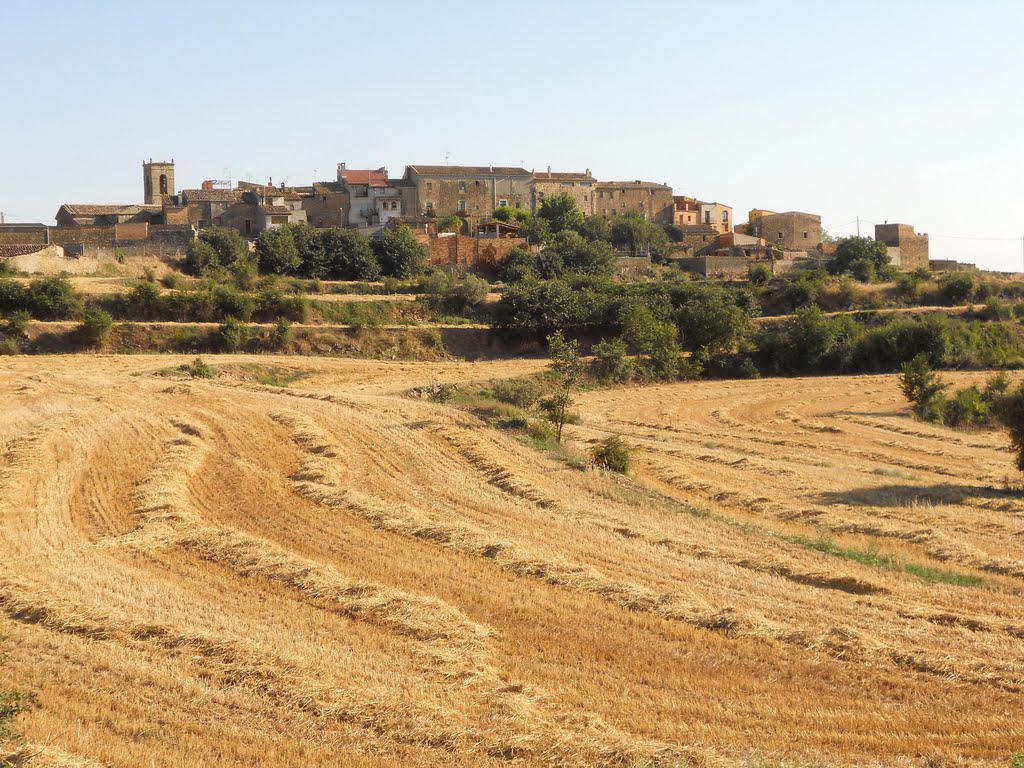 La Donzell d'Urgell: panoràmica by Pedro Salcedo i Vaz