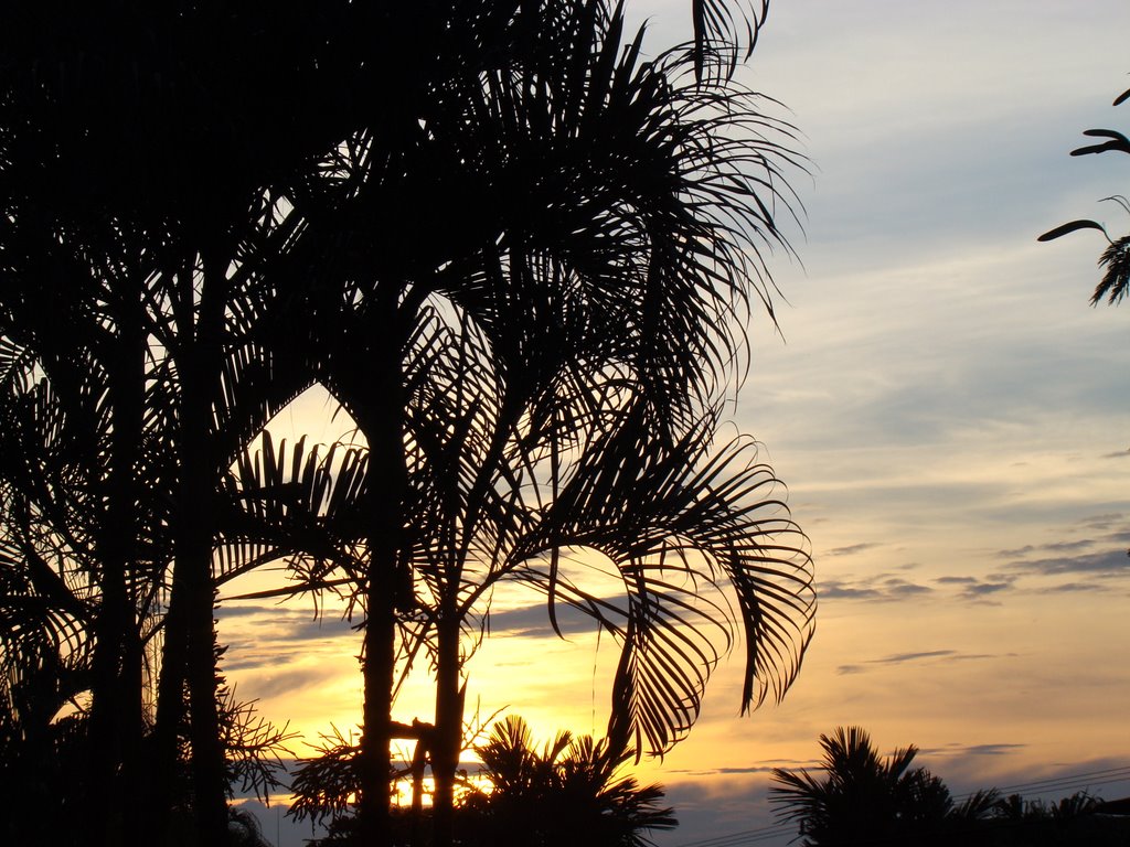 Unnamed Road, Provincia de Guanacaste, Costa Rica by moabi50dibetou