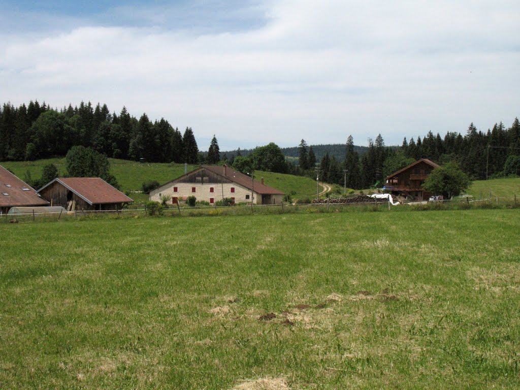 Granges Tavernier by Michel BLONDEAU- TOINY