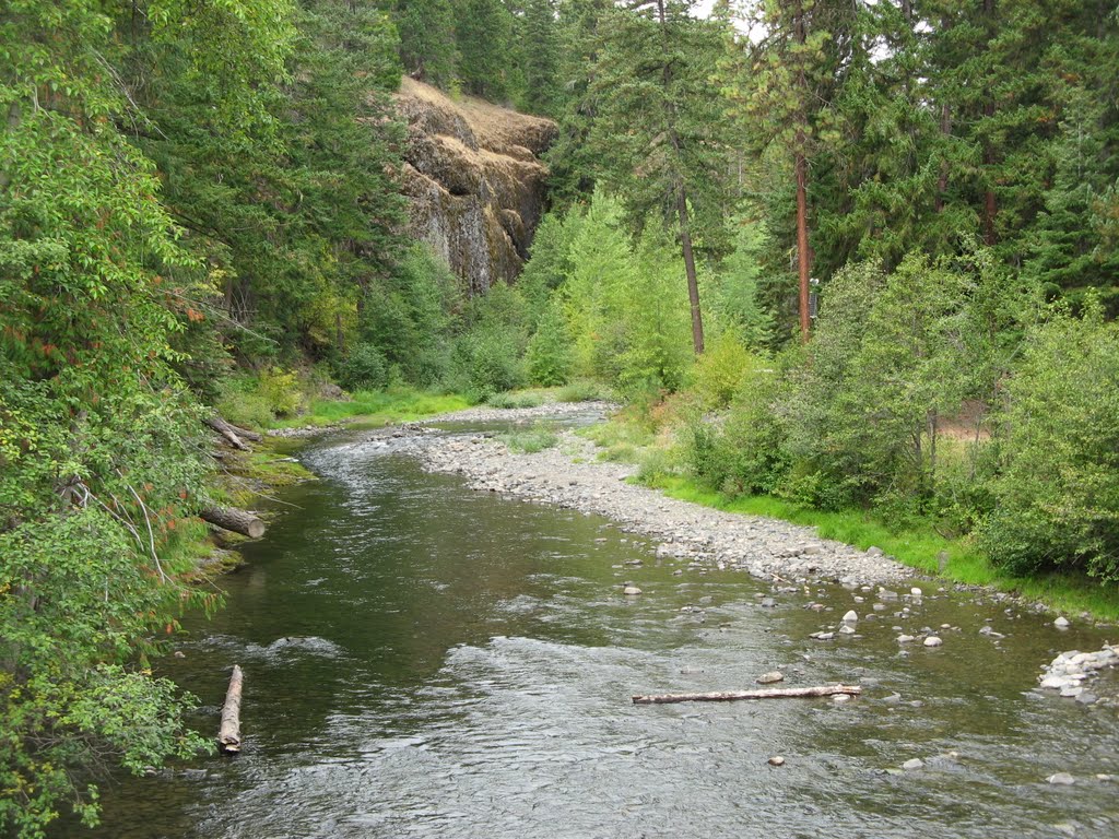 Little Naches Creek, S.R. 410, Washington by htabor