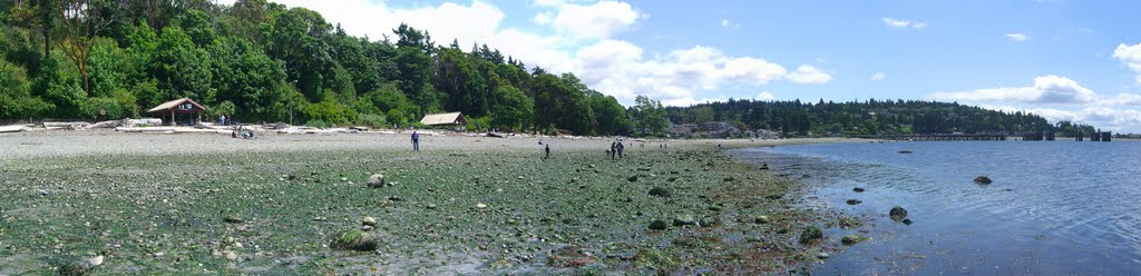 Low Tide on Fauntleroy Cove by pandas_paw