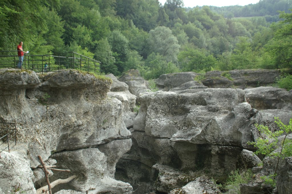 [Rhône-Alpes] Les Gorges du Fier 24.06.2006 France by RoschM