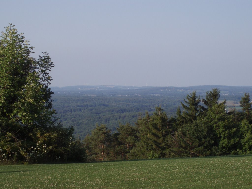 Looking North from Highland Forest by JD_fla