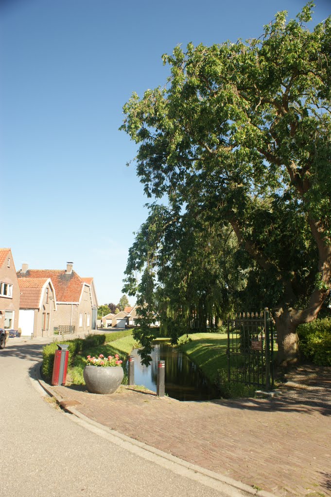 Oudenhoorn by william schrikenberg