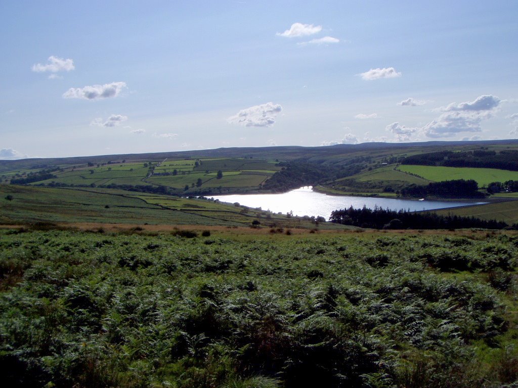 Leighton reservoir by Denis Grohol