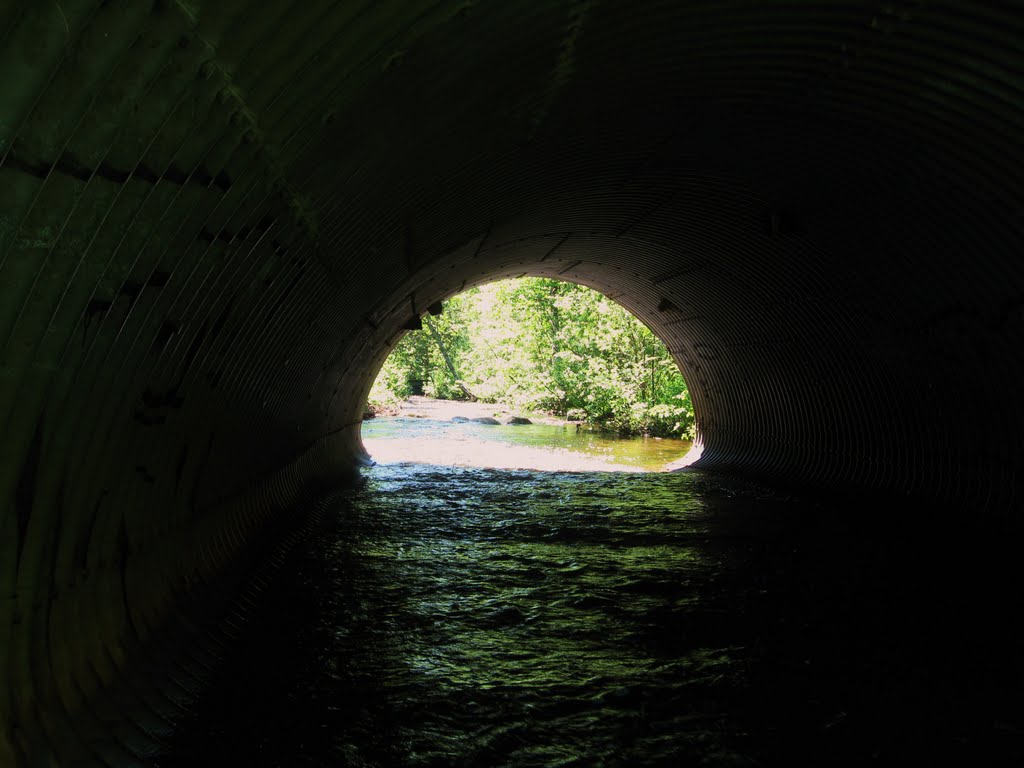 McVicar Creek under Briarwood Dr. by aks 1