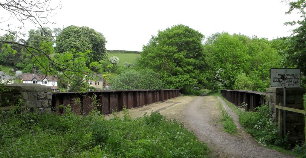 Old railway bridge by gordo1958