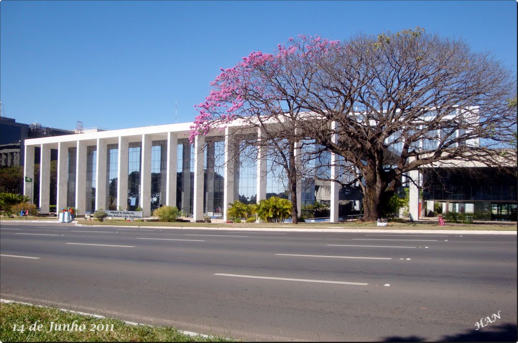 Tribunal de Justiça do Distrito Federal e dos Territórios-Brasilia-Distrito Federal-Brasil 2011 by helio antunes do nascimento