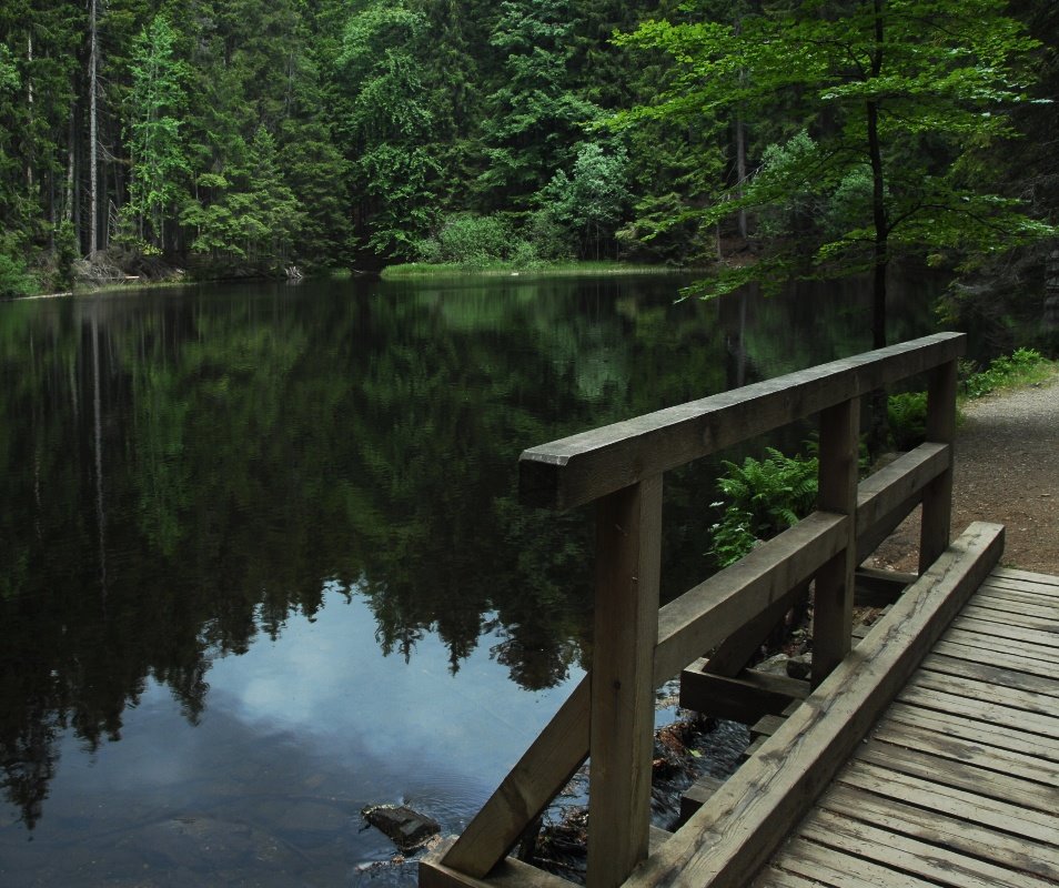 Lake Boubin by Petr Fiala