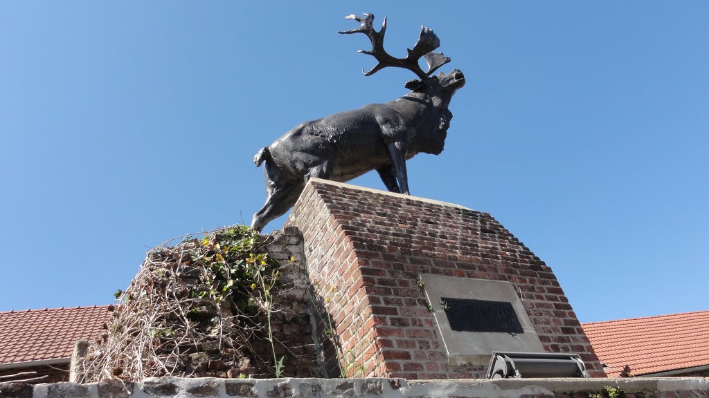 Caribou by Roger Machin