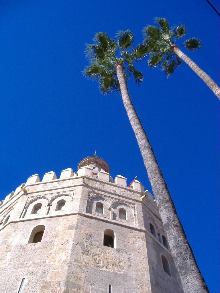 La Torre dell' Oro by Paolo Simoncini