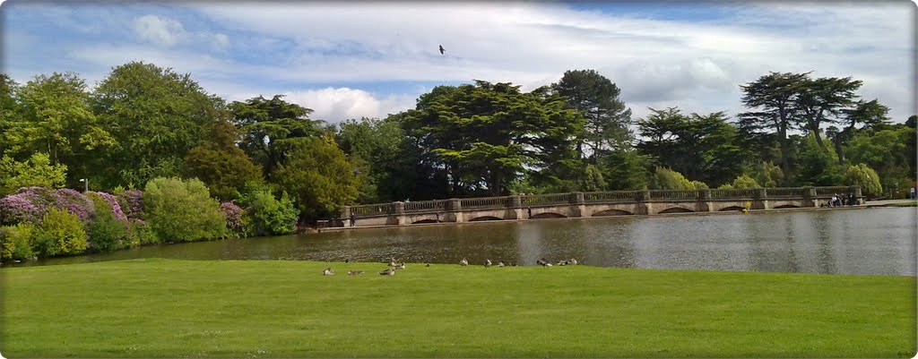 Bridge over the lake @ Alton Towers by DarrellJClarke77 ©