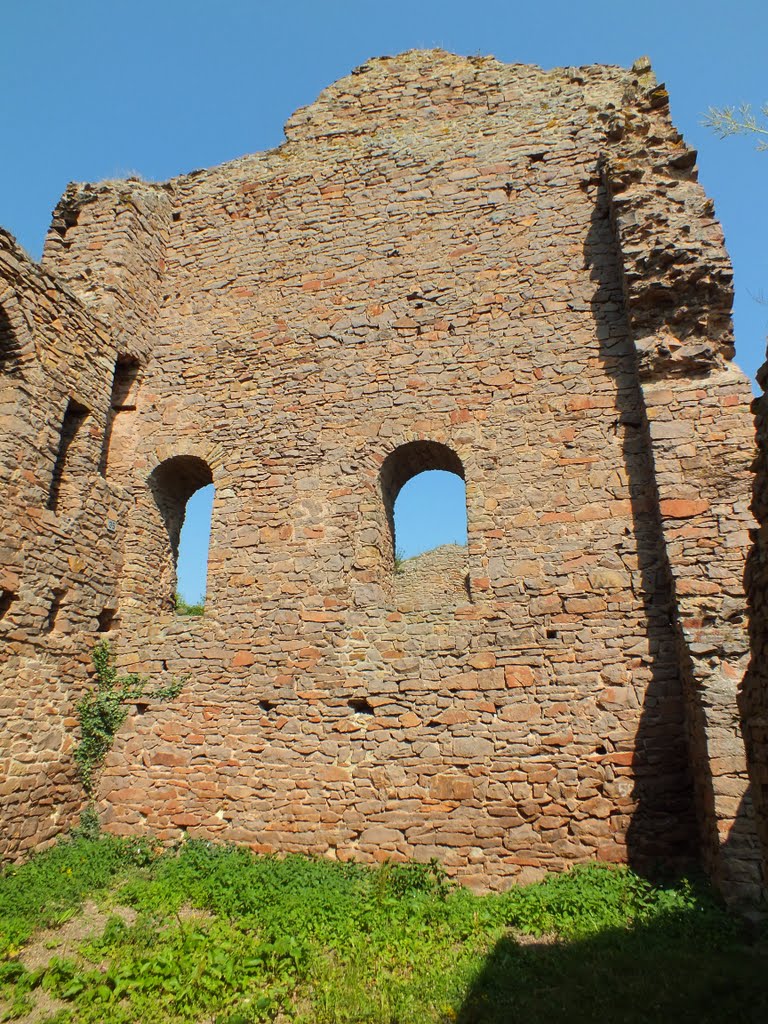 Ruine Montfort by trexico69