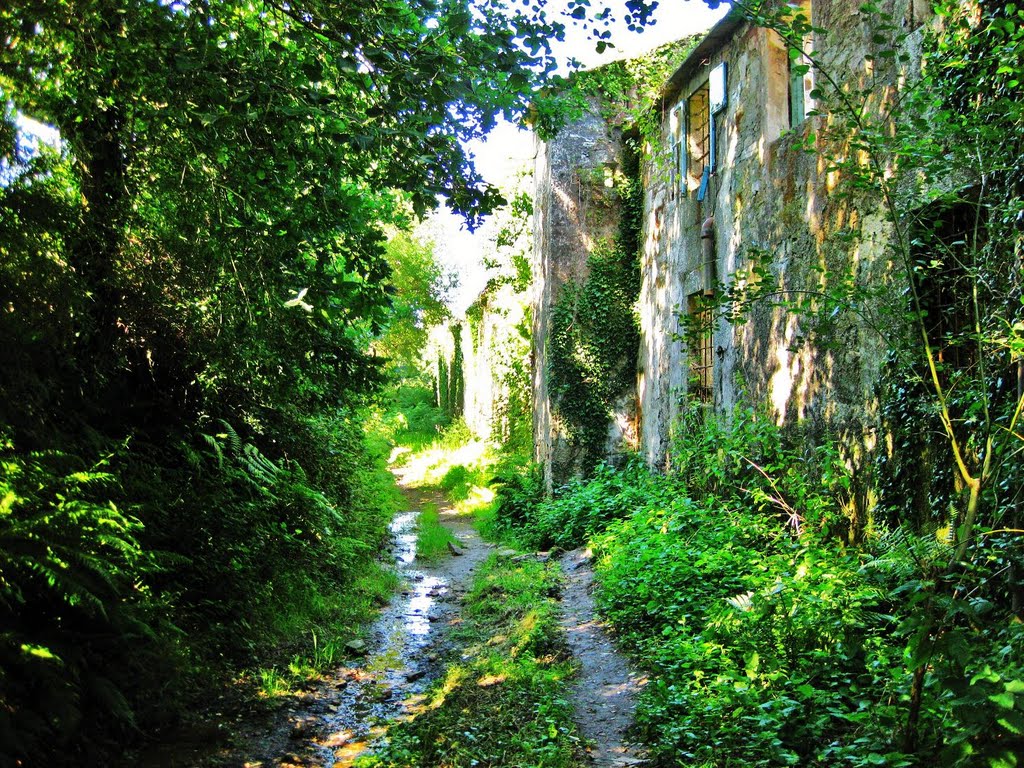 Sendeiro entre Romaño e Galeras - (Santiago de Compostela) by fotocolocador