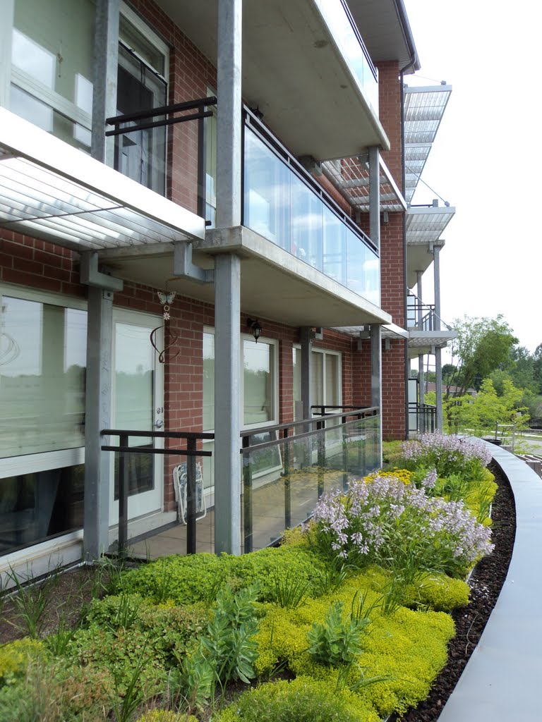 Co. of Wellington Affordable Housing - green roof by mnatvik