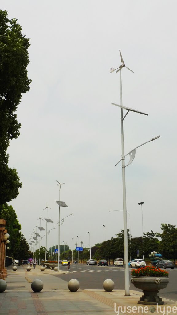 沿江大道上的环保路灯 Environmental-friendly Street Lights along Yanjiang Ave. by yuseneotype