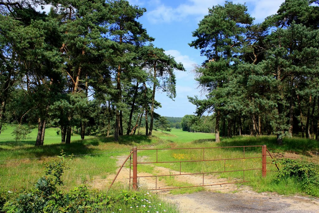 Beautiful landscape. Niedersachsen, Germany. by flyingdutchman